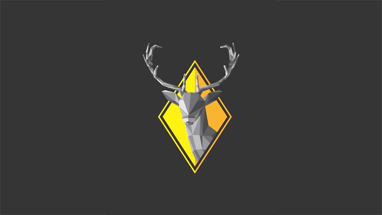 artist cover