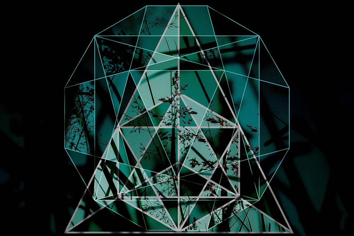 artist cover