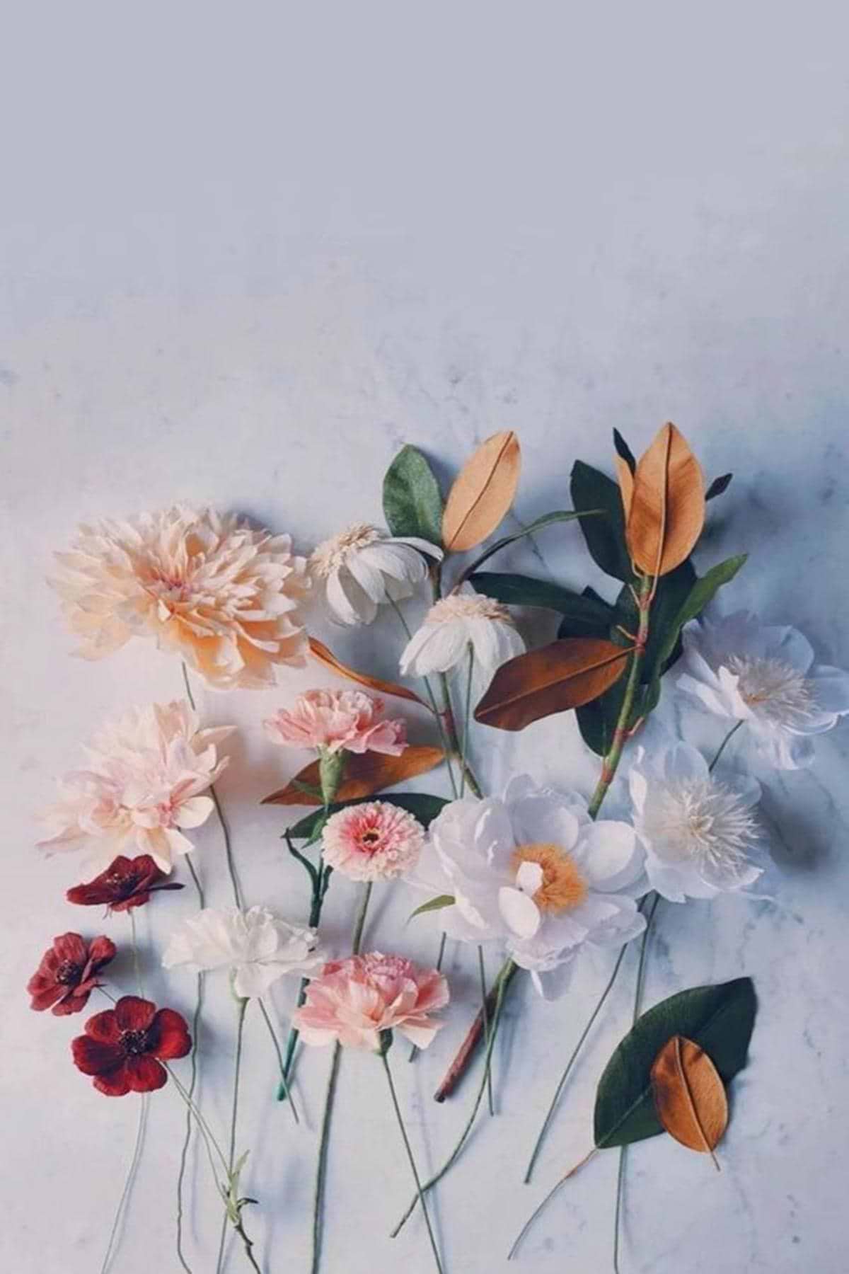 artist cover