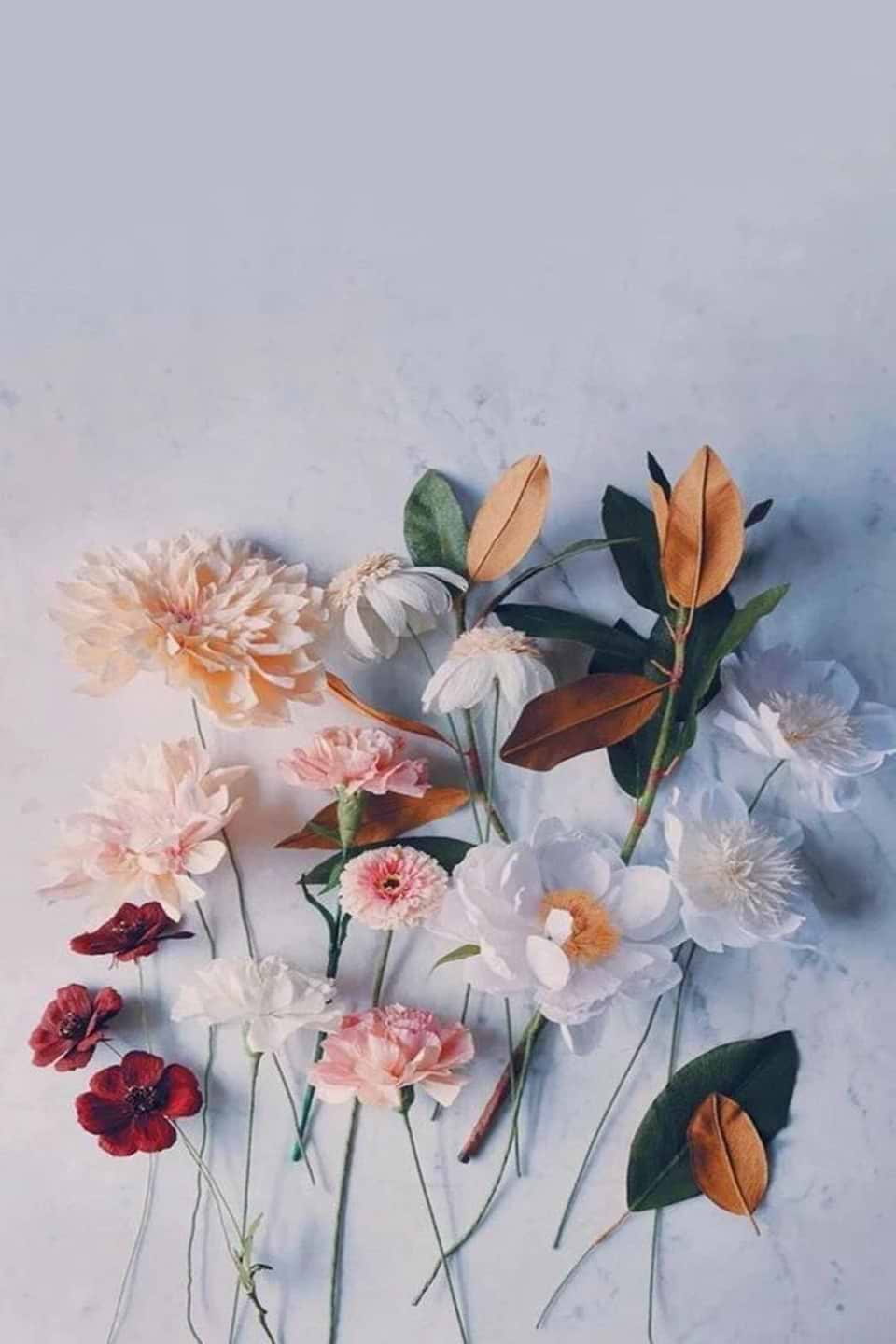 artist cover