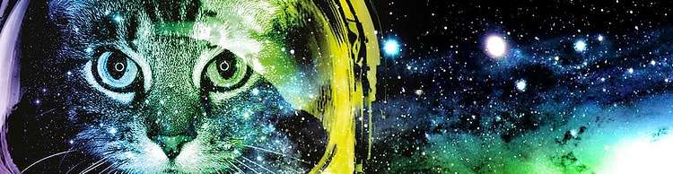 artist cover