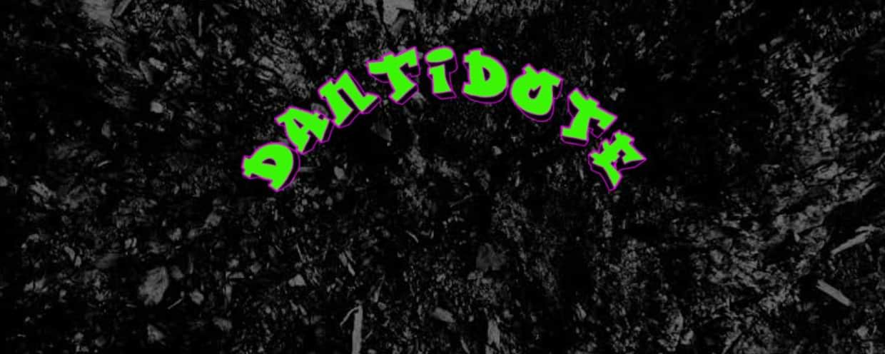 artist cover