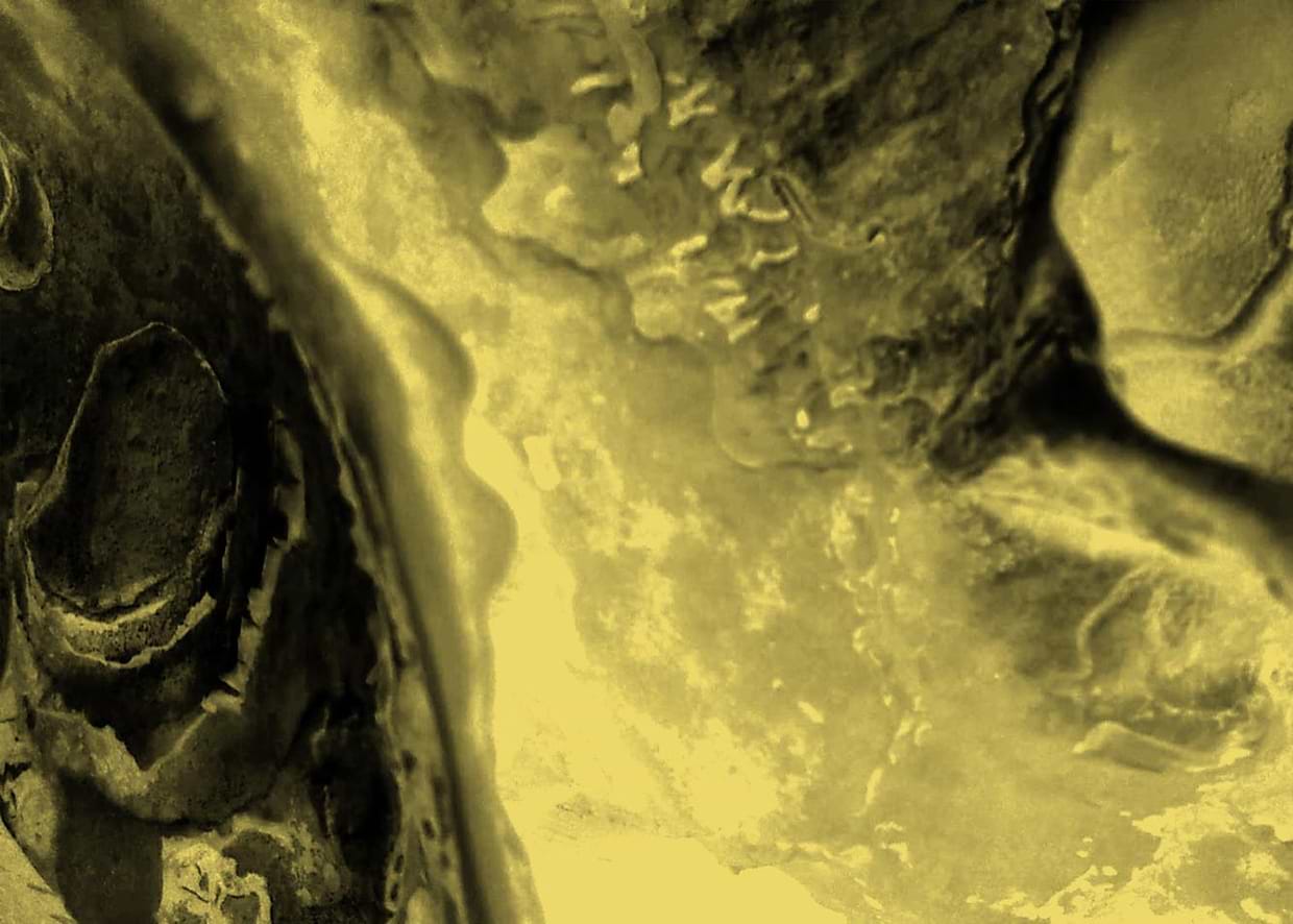 artist cover