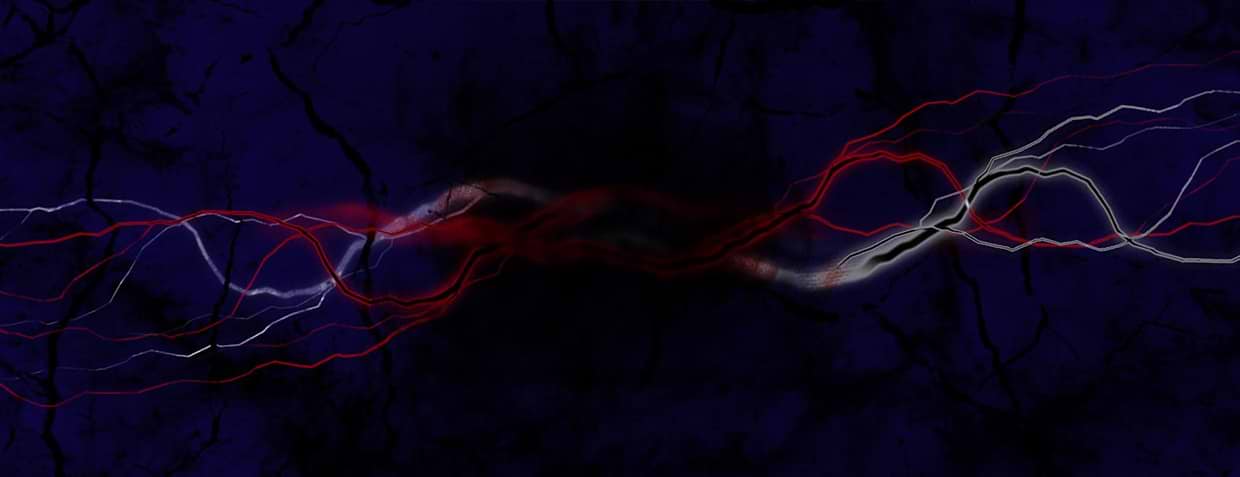artist cover