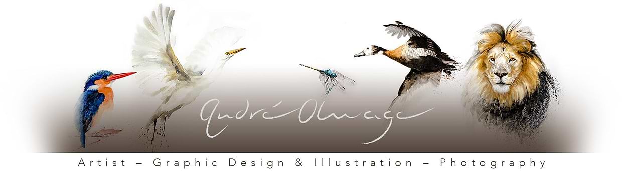 artist cover