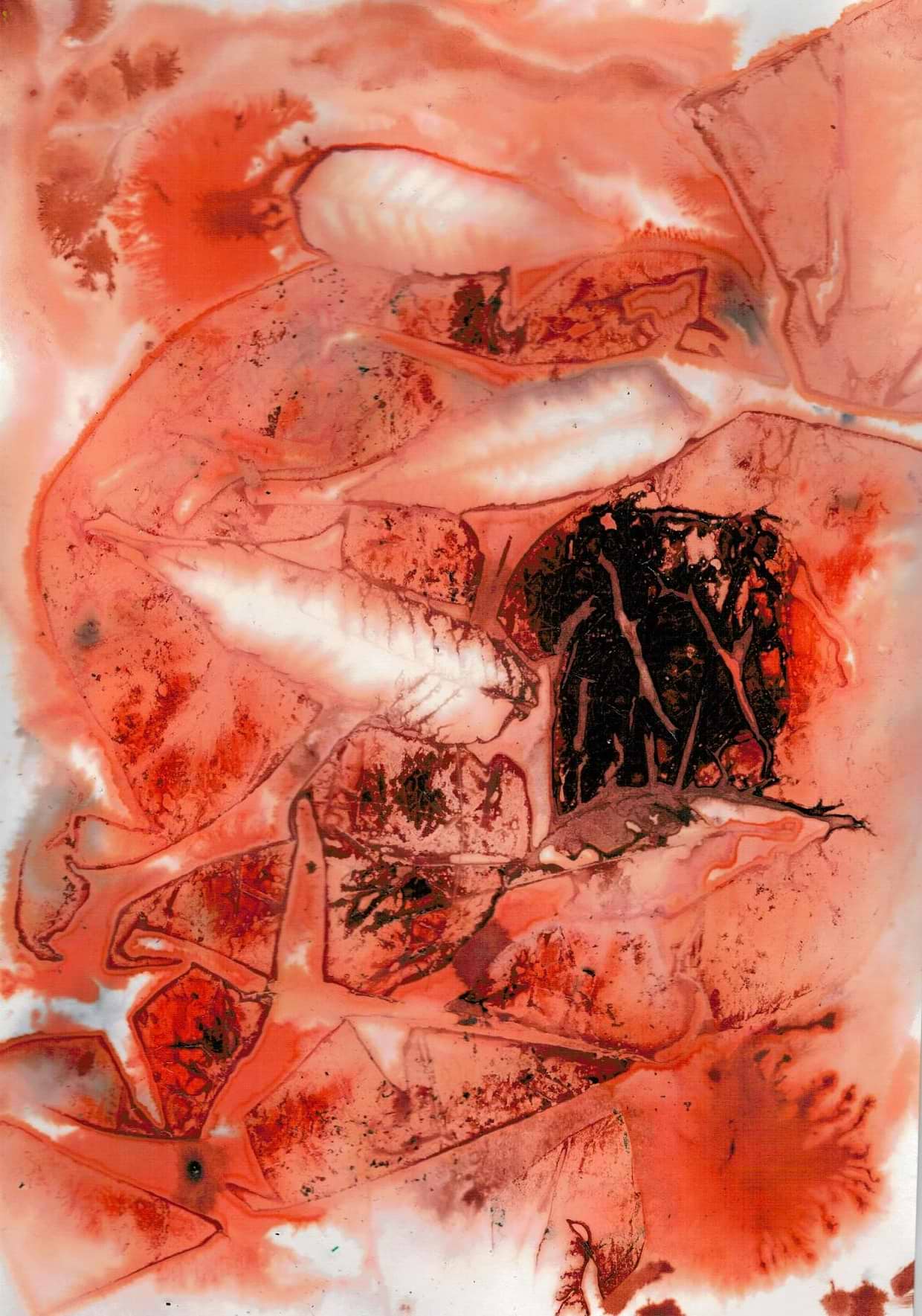 artist cover