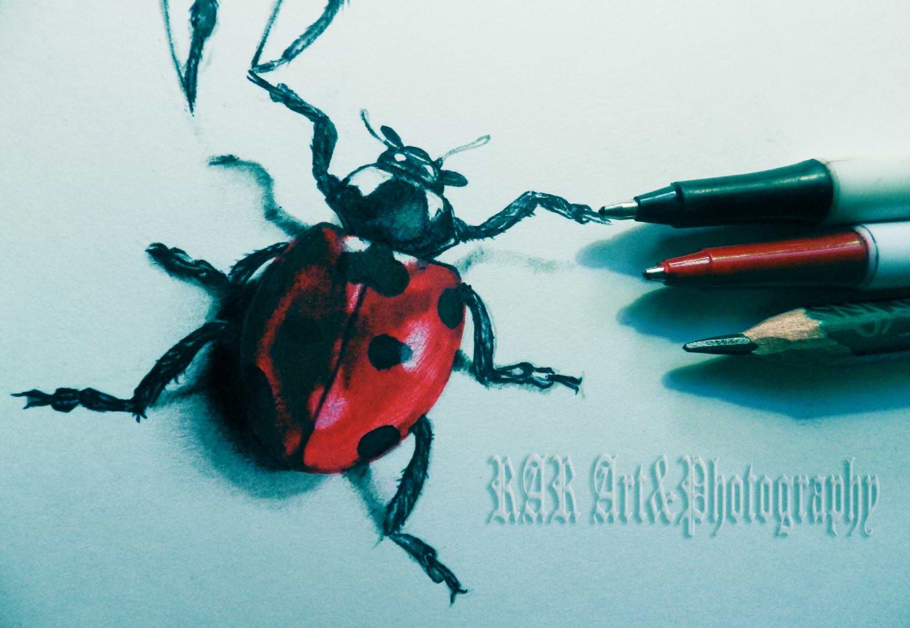 artist cover