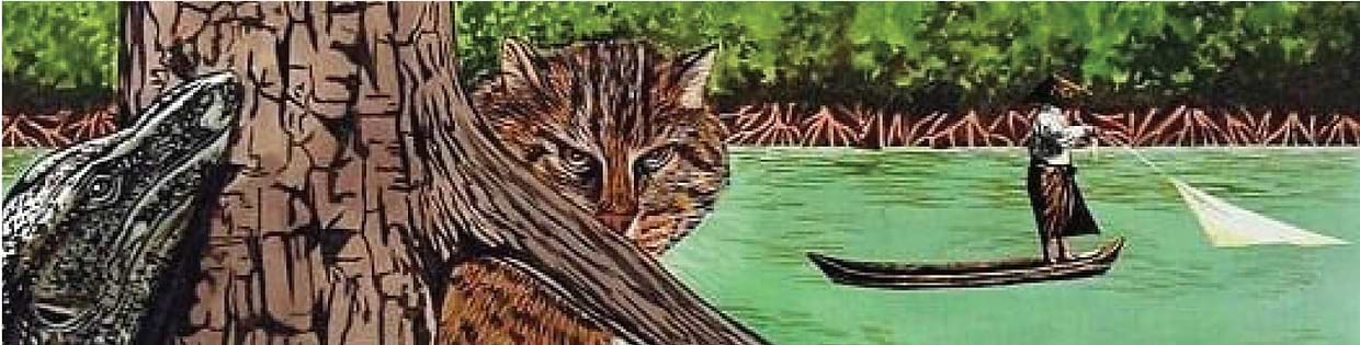 artist cover