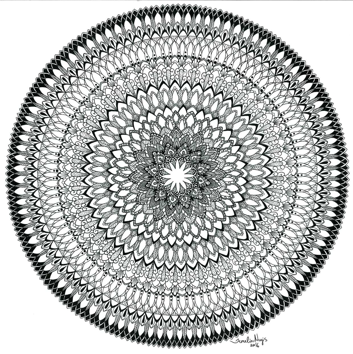 artist cover