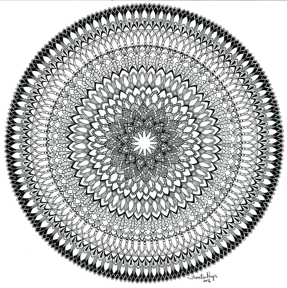 artist cover