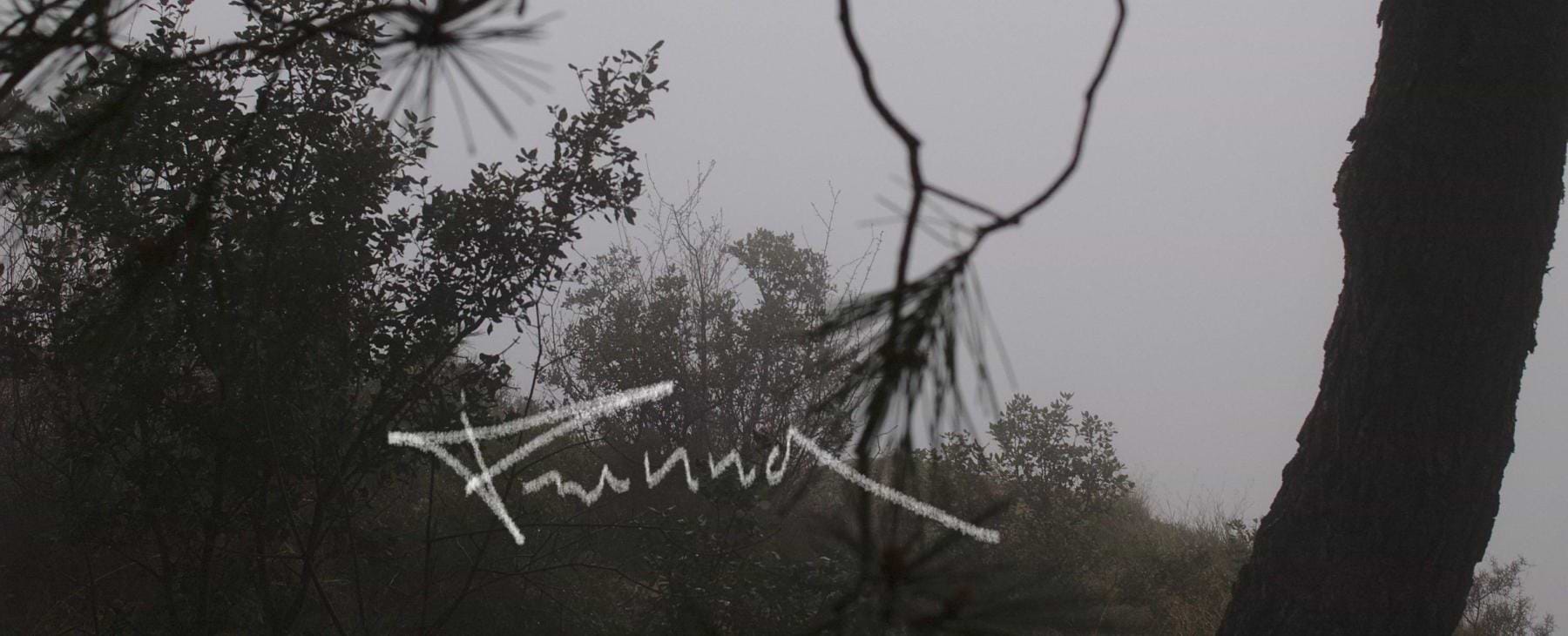 artist cover