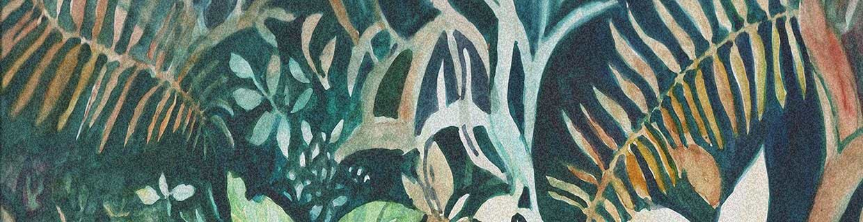 artist cover