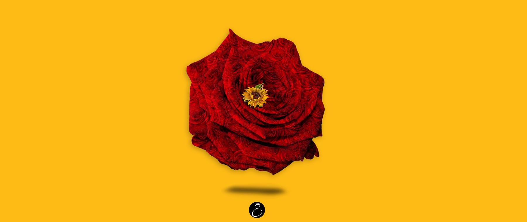 artist cover