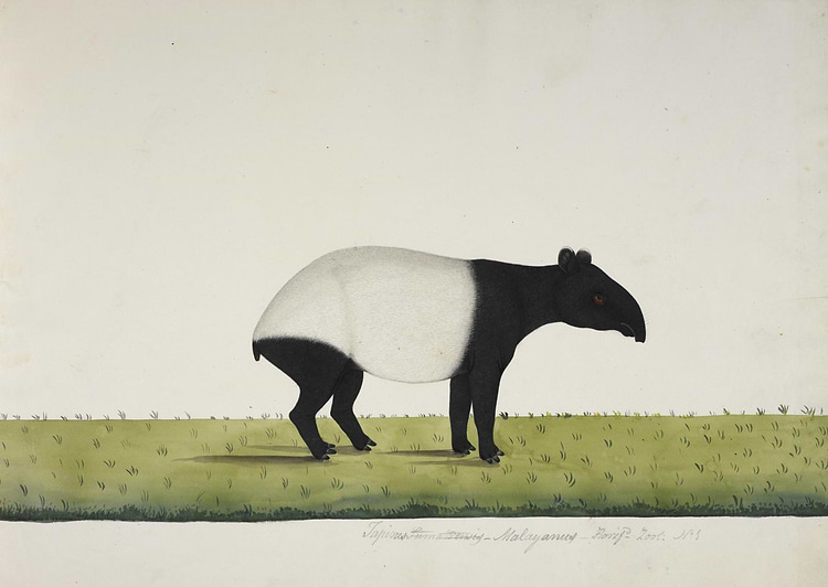 artist cover
