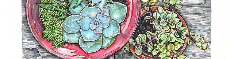artist cover
