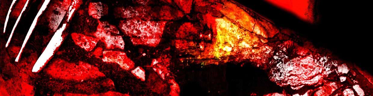 artist cover