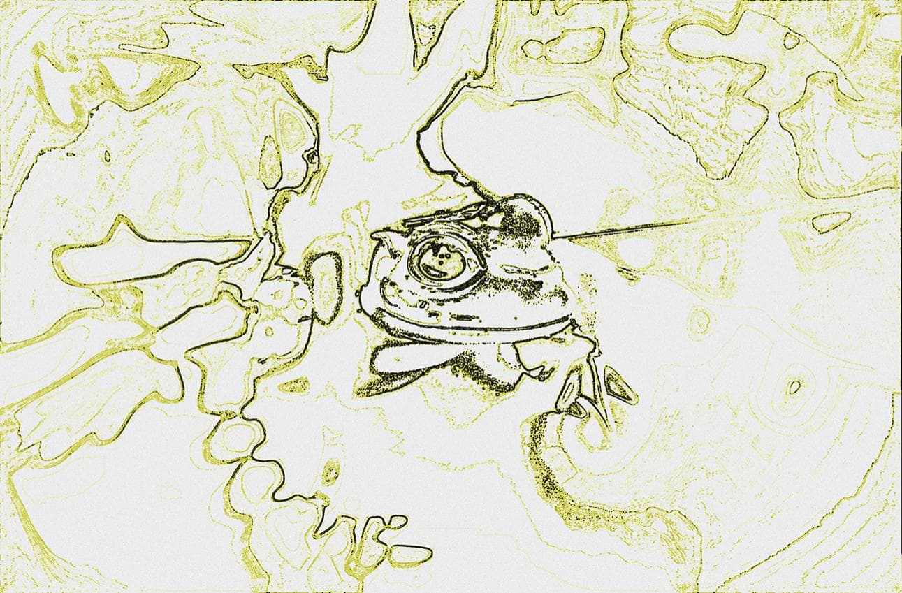 artist cover