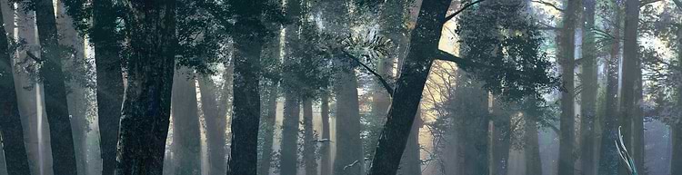 artist cover