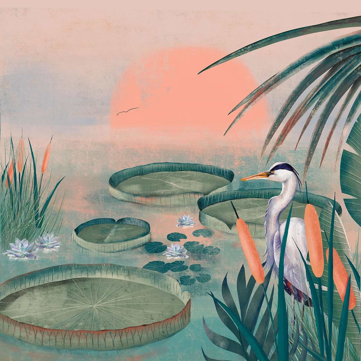 artist cover