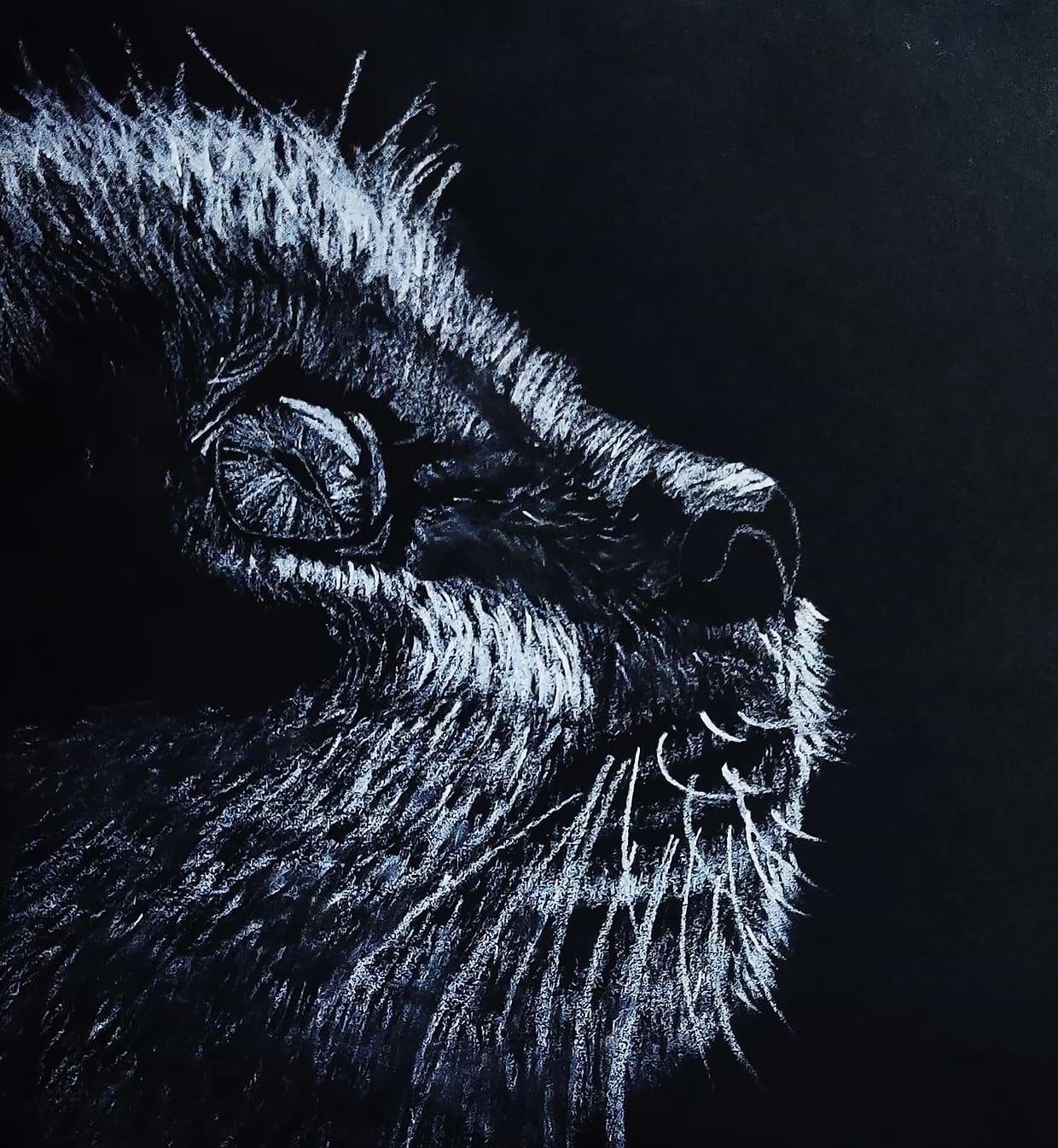artist cover