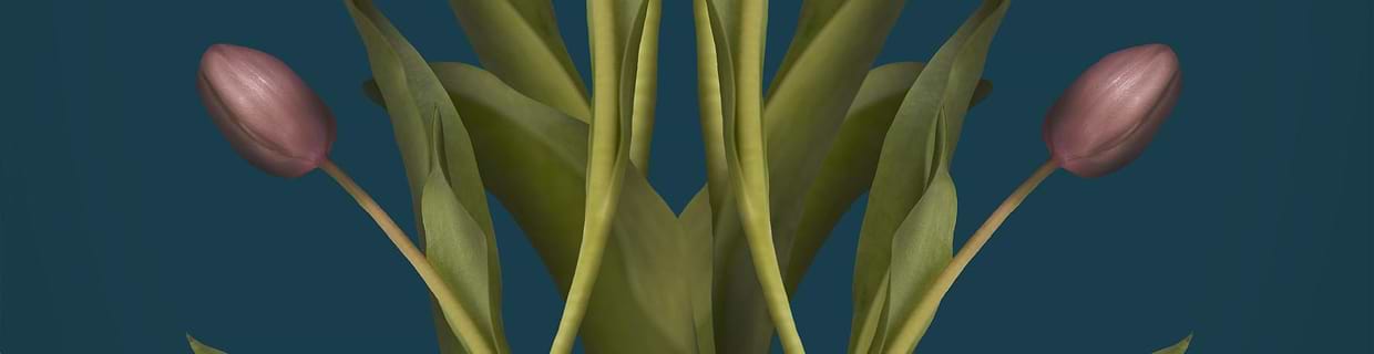artist cover