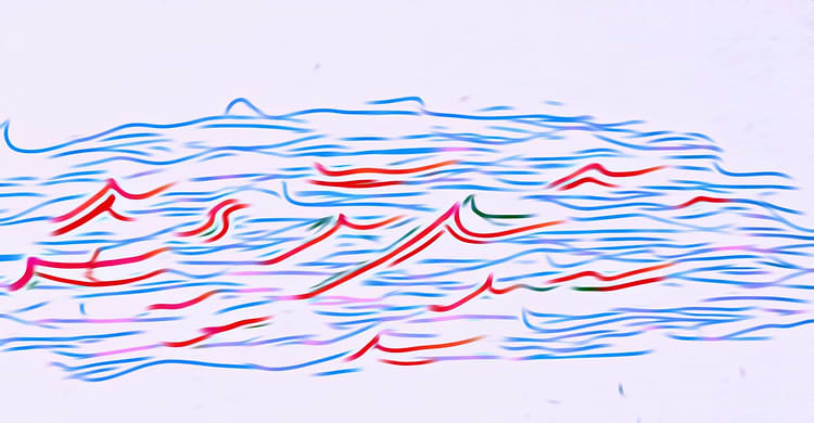 artist cover