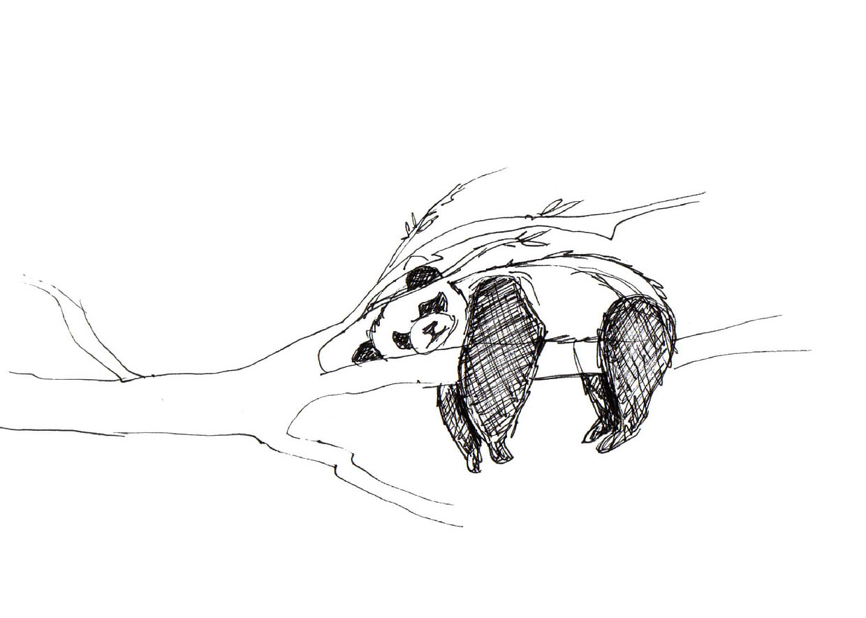 artist cover