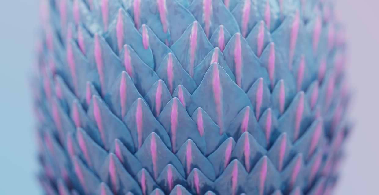 artist cover