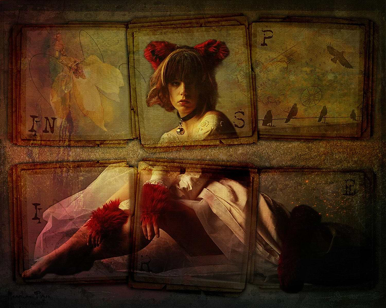 artist cover