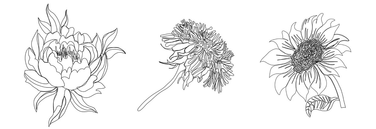 artist cover