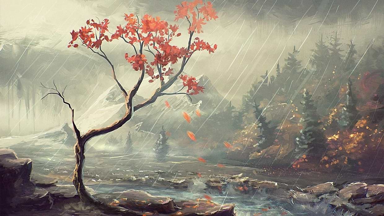 artist cover