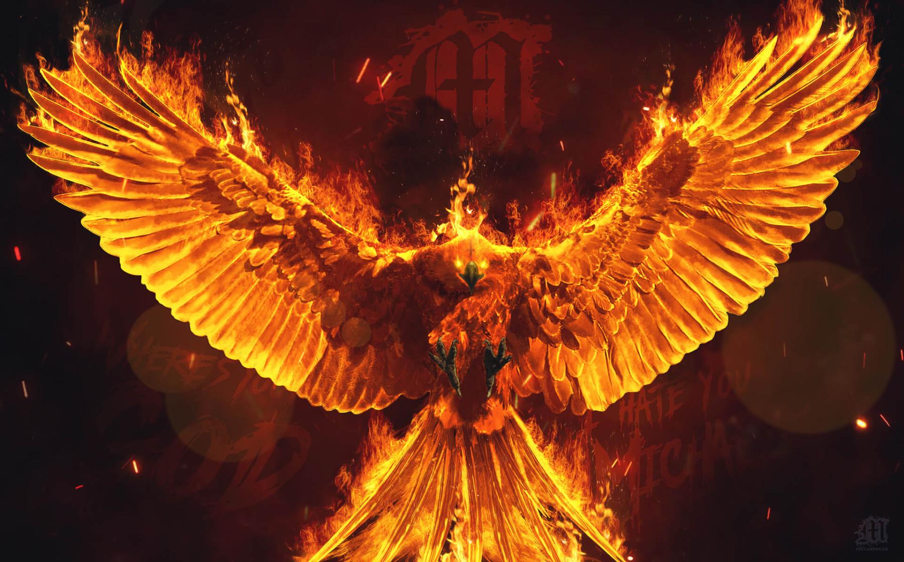 artist cover