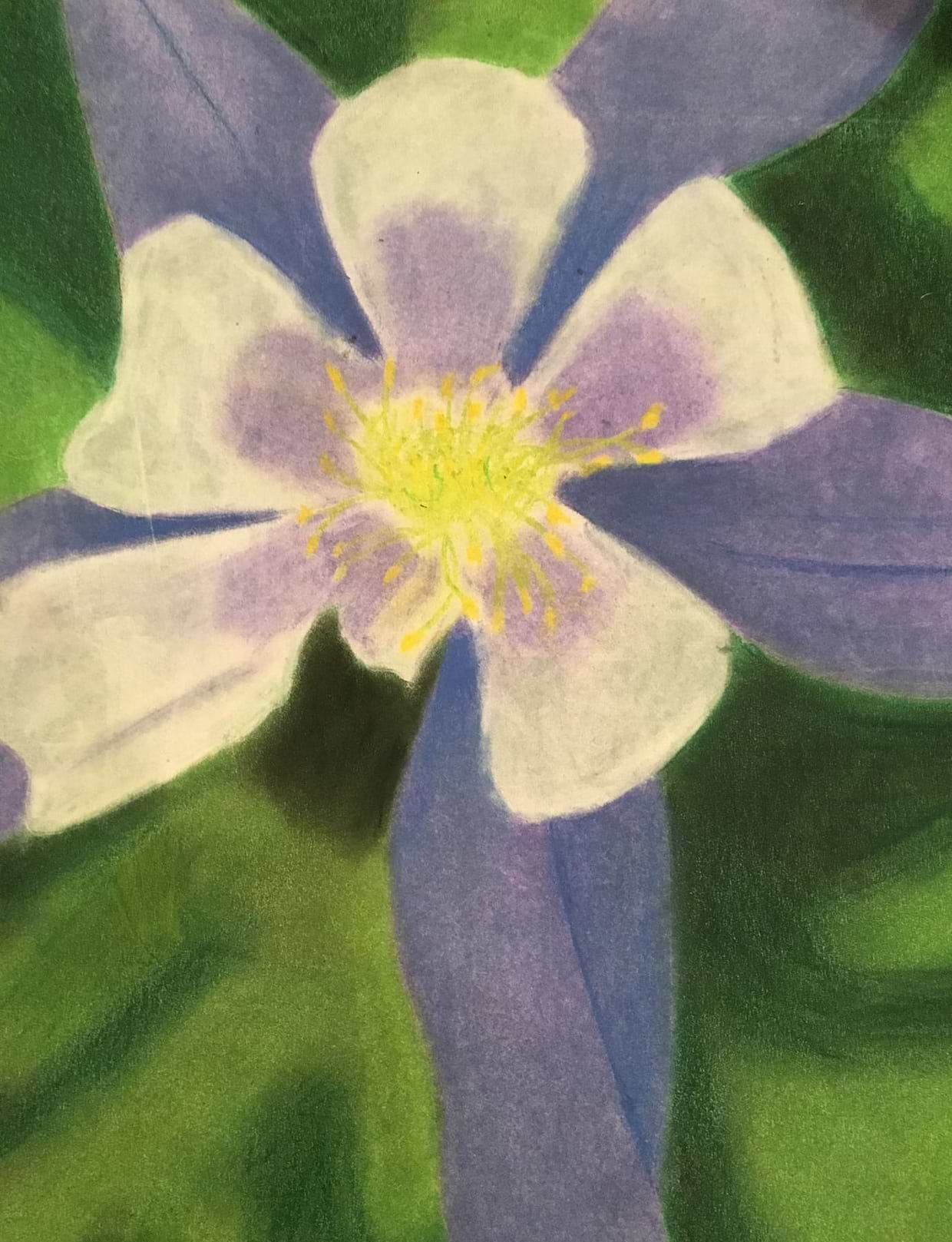 artist cover