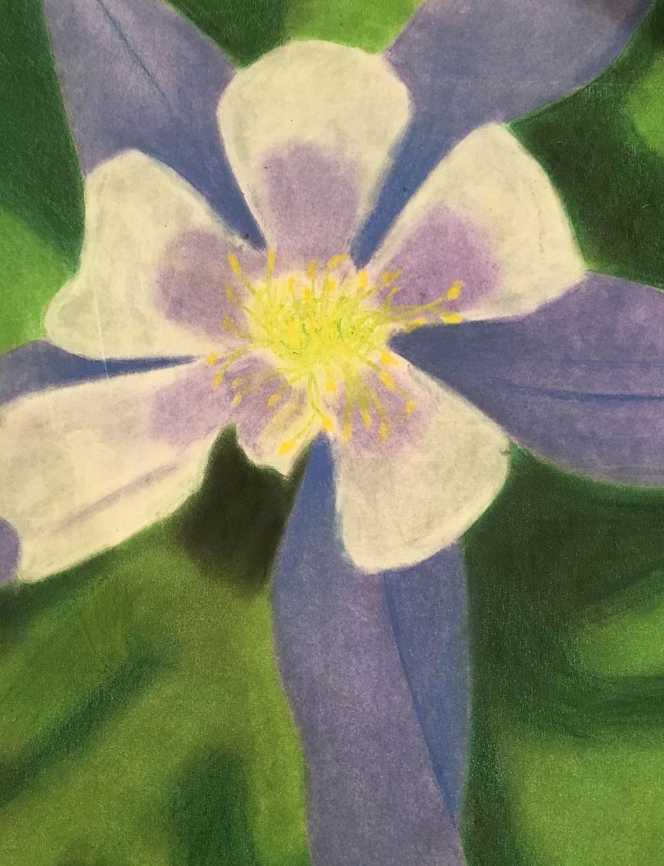 artist cover