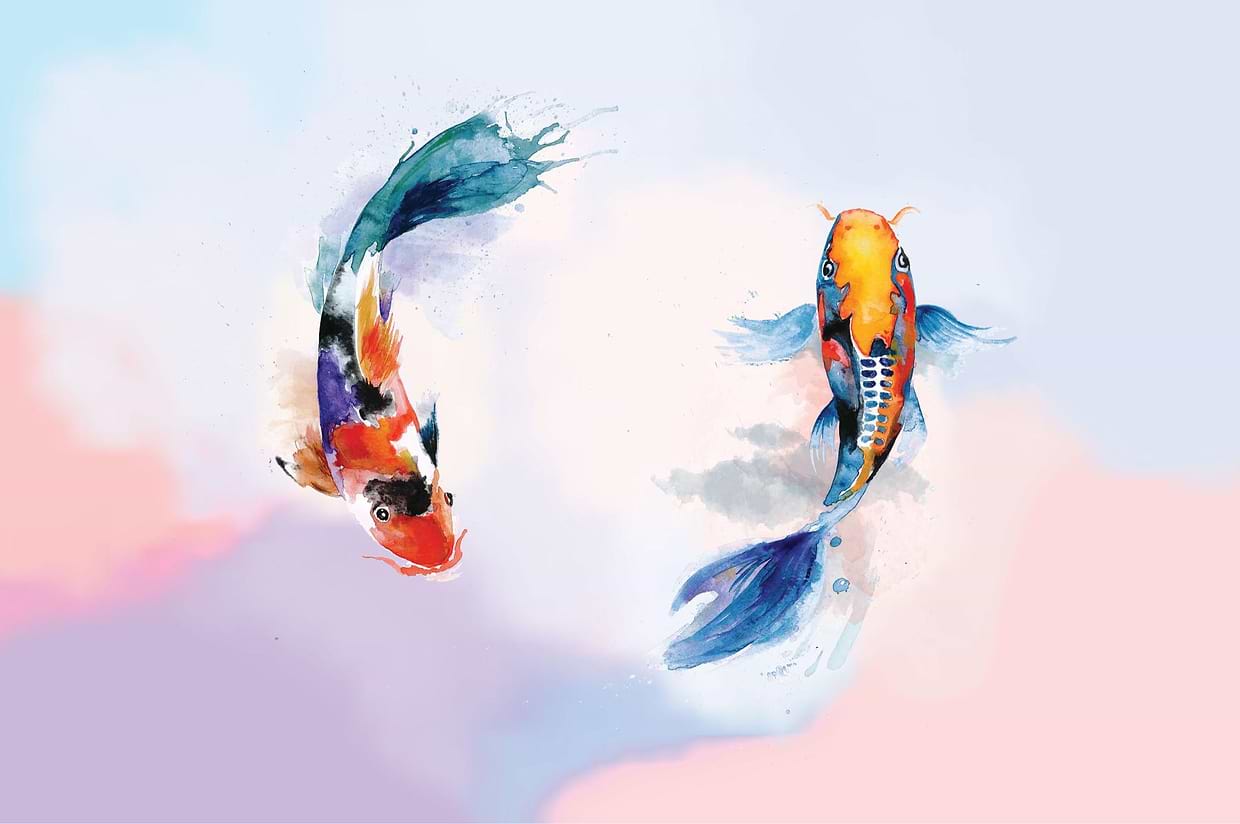 artist cover