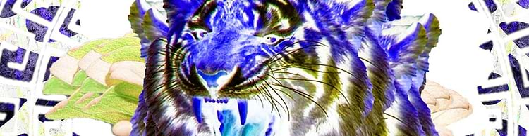 artist cover