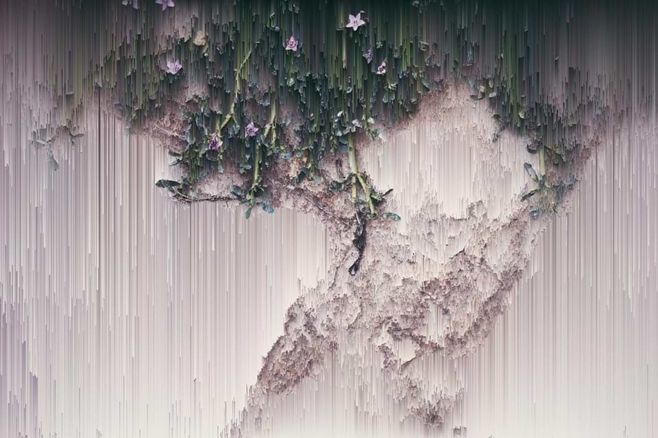 artist cover