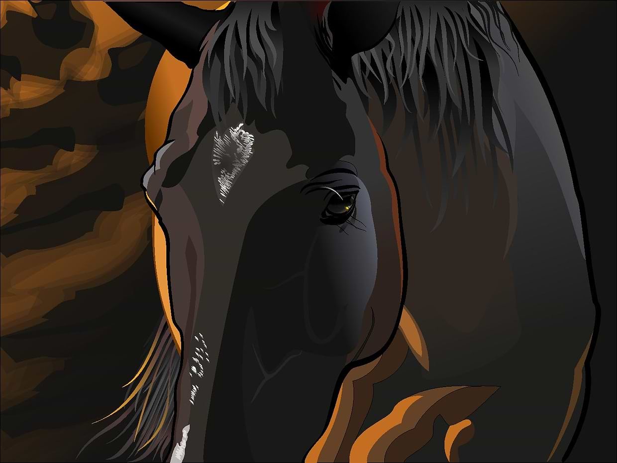 artist cover