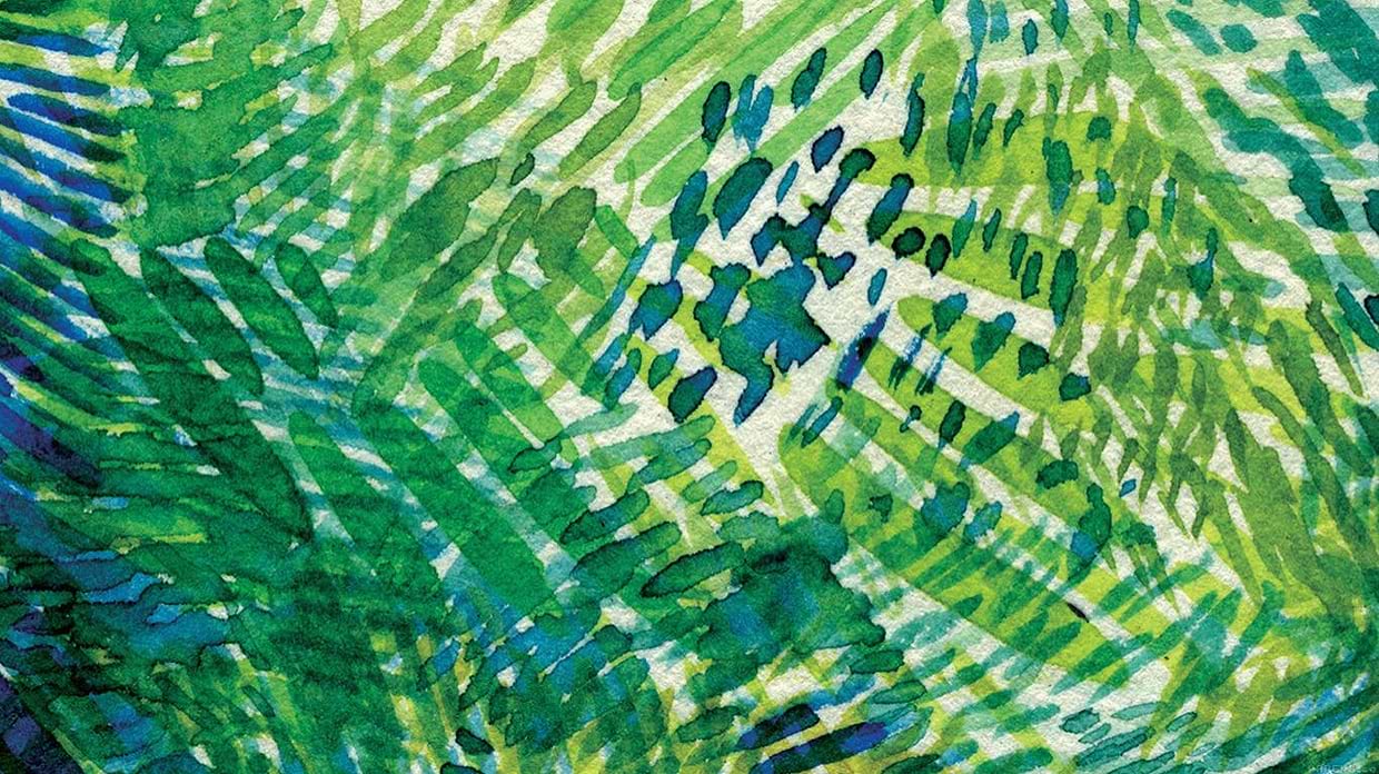 artist cover