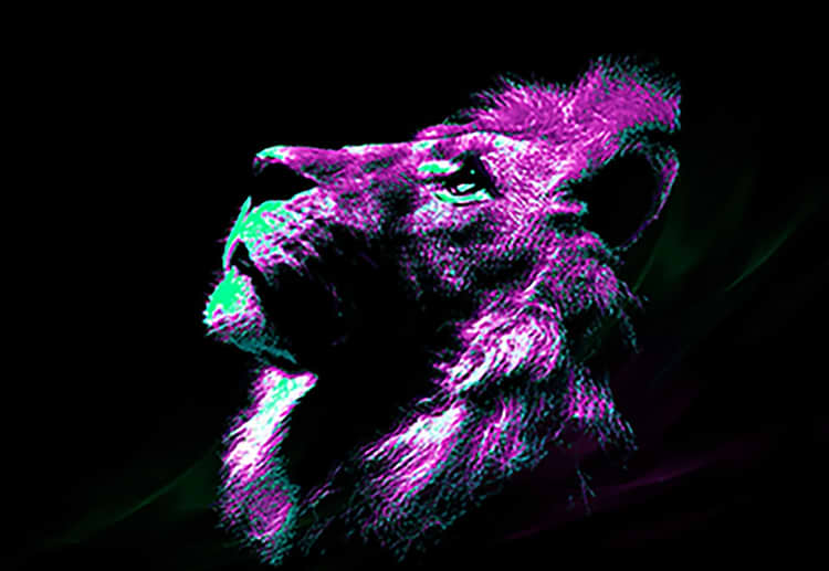 artist cover