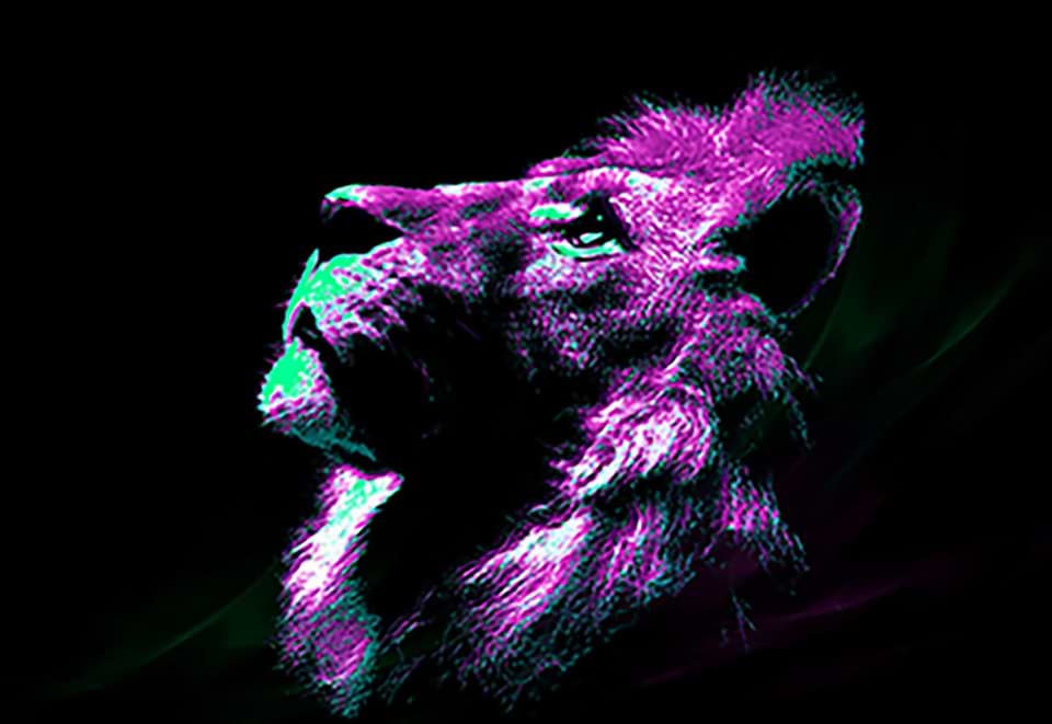 artist cover