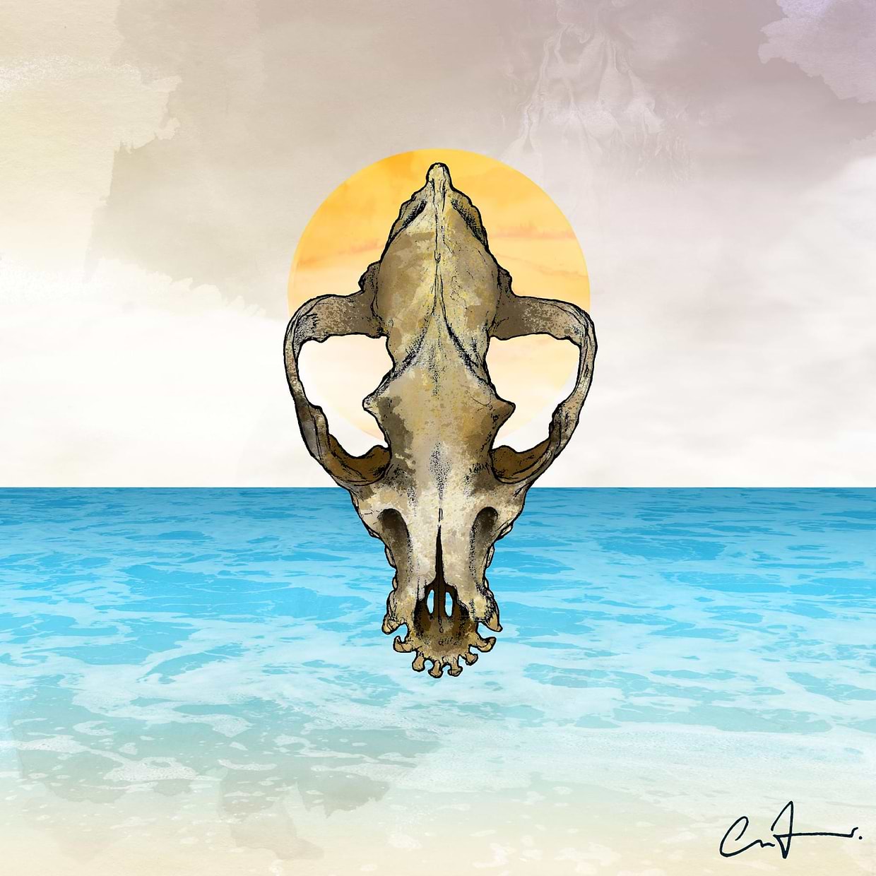 artist cover