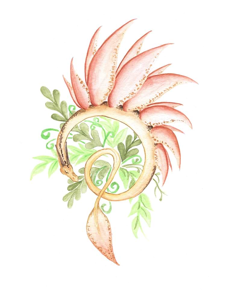 artist cover