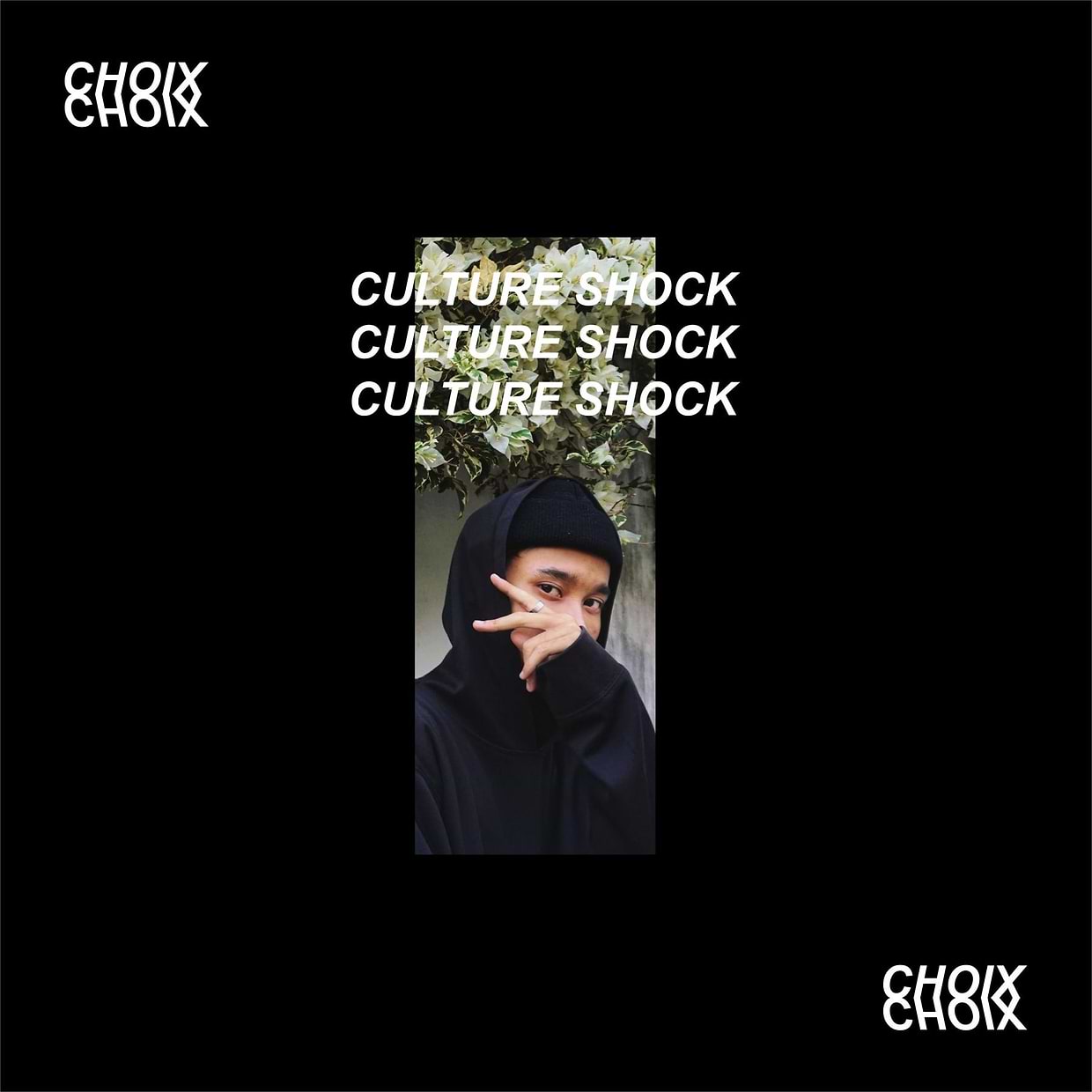 artist cover