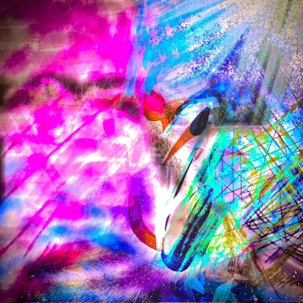 artist cover