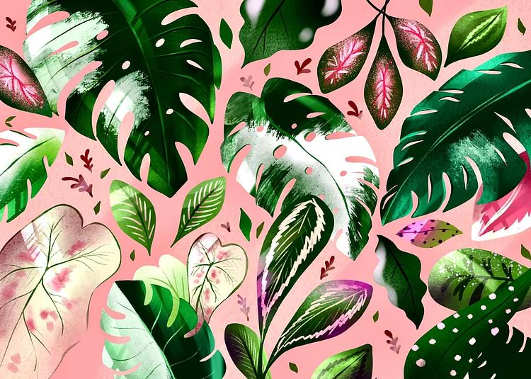 artist cover