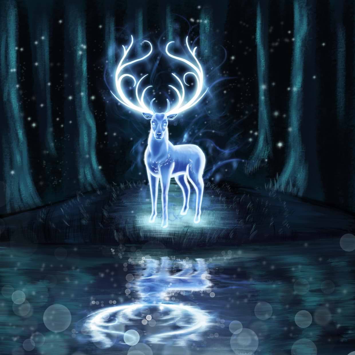 artist cover