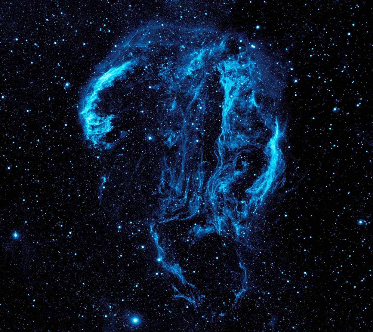 artist cover