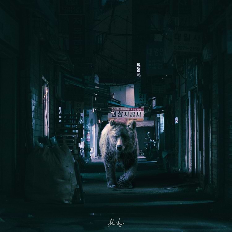 artist cover