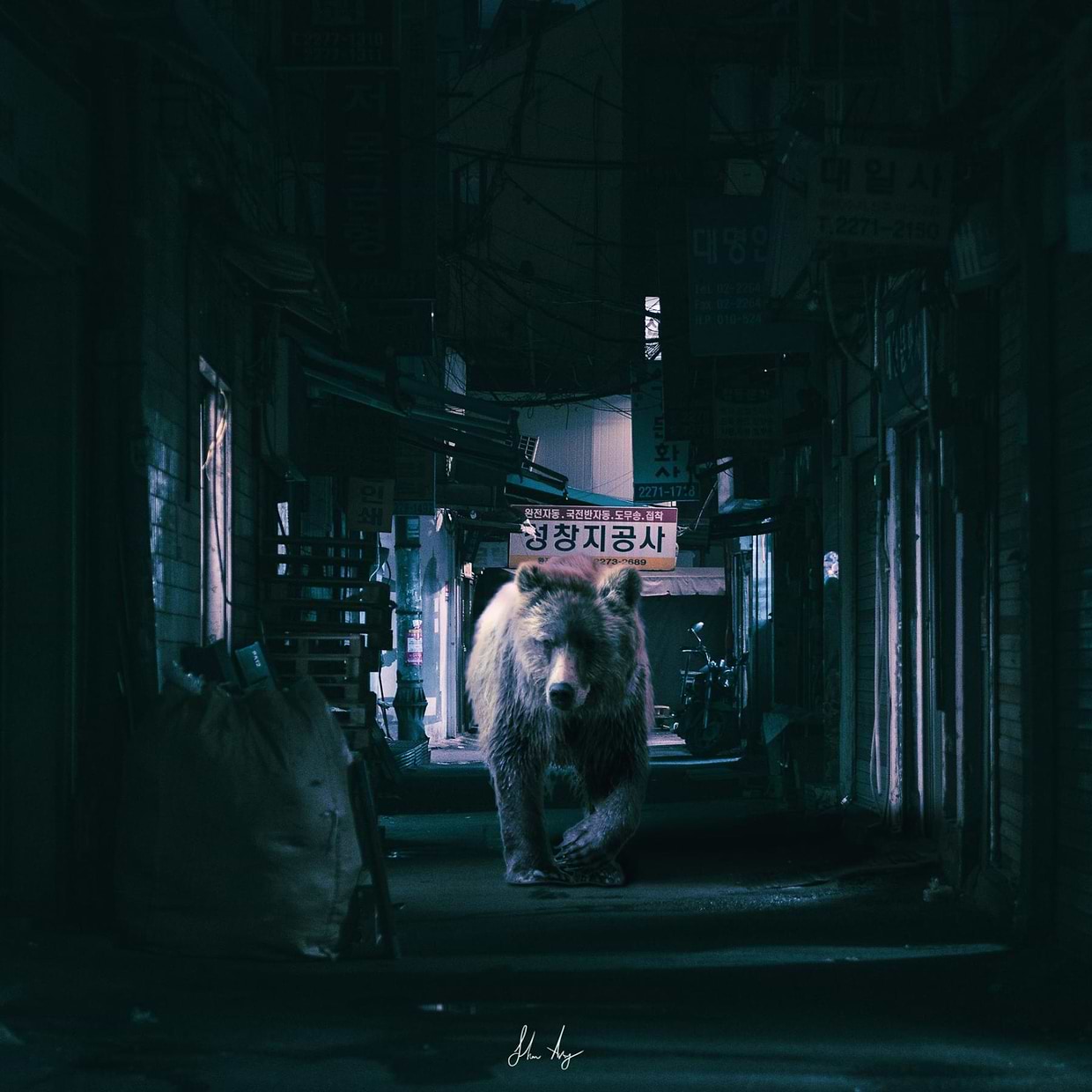 artist cover
